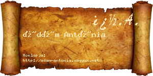 Ádám Antónia névjegykártya